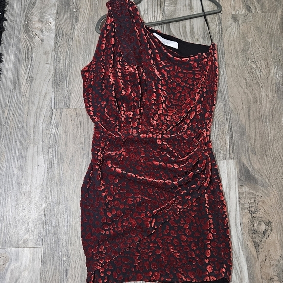 IRO Elegant Red One-Shoulder Dress velvet burnout style silk blend size 36 =4 - Picture 1 of 16